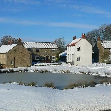 Swan Newton-on-Rawcliffe